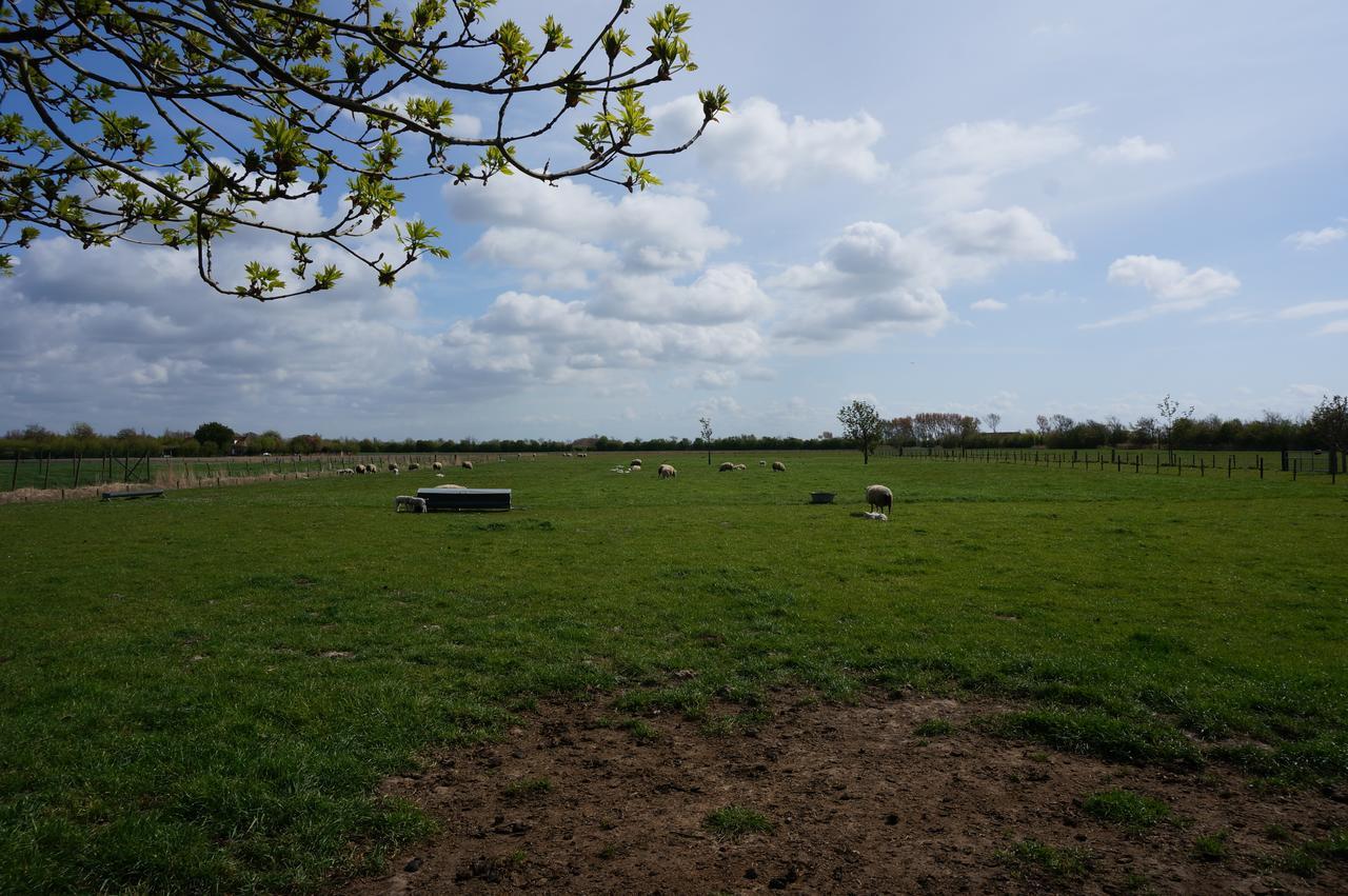 De Wijde Verten Oostkapelle Extérieur photo